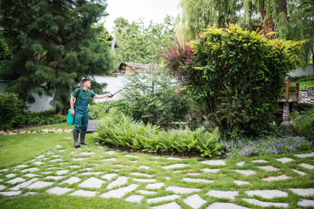 Pest Prevention Services in Glen Rose, TX