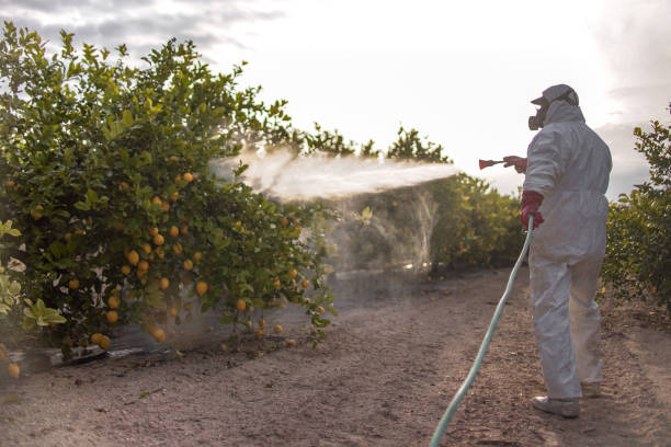 Bird Control in Glen Rose, TX