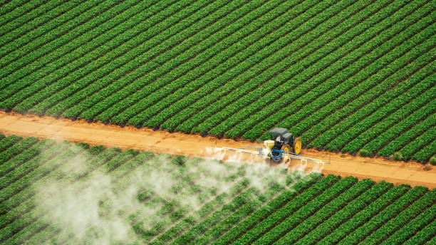 Best Best Pest Control Companies  in Glen Rose, TX