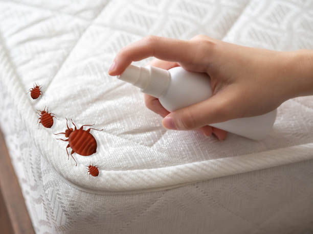 Best Pest Control Near Me in Glen Rose, TX