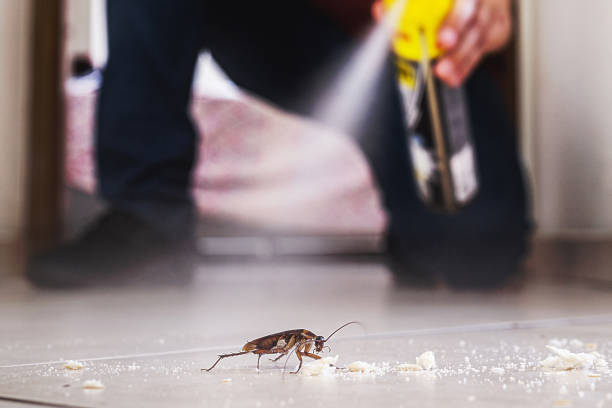Best Residential Pest Control  in Glen Rose, TX